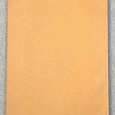 Særtrykk av Viking - Back Cover