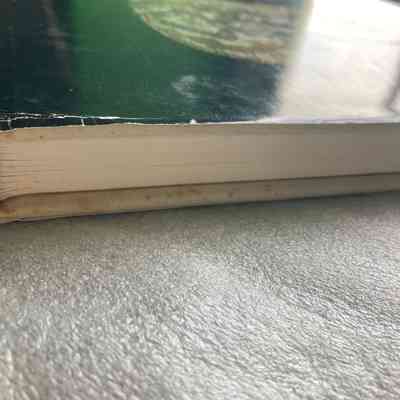 Possible mould or mildew