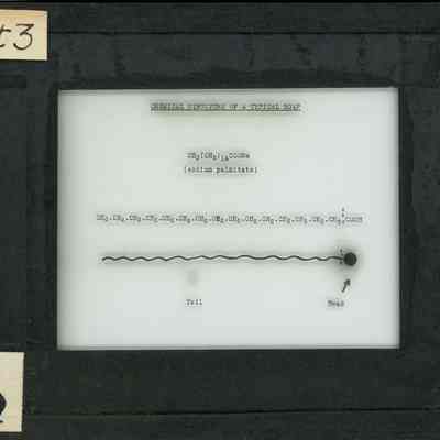 Glass-plate negative slide