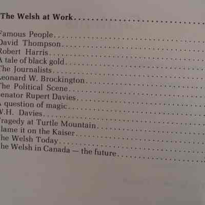In search of the Red Dragon : the Welsh in Canada / by Carol Bennett.