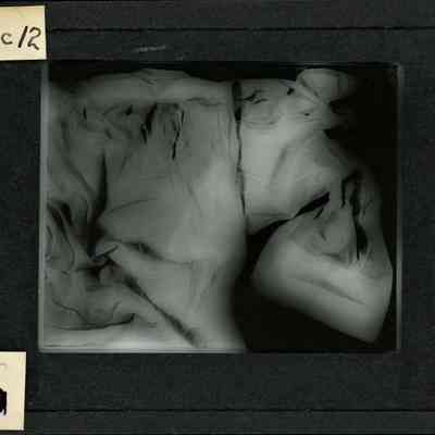 Origformat: Print-Photographic