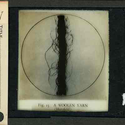 Glass-plate negative slide