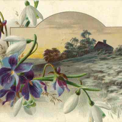 Postcard with add on back