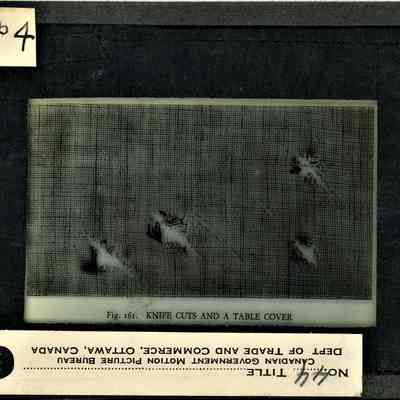 Glass-plate negative slide