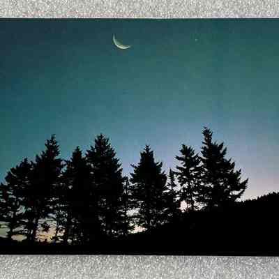 Card - Greeting
