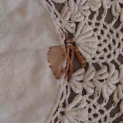 2005.31.11 stain