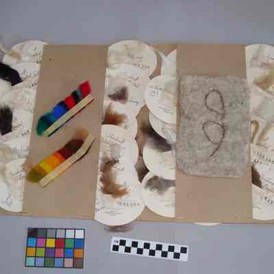 Wool samples from Handscraft Wools Limited