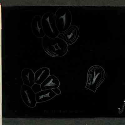 Glass-plate negative slide