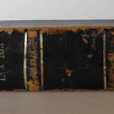 Spine