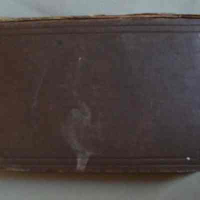 Back