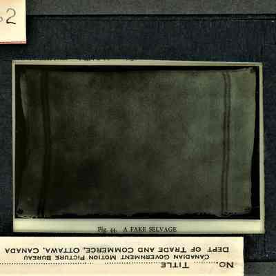 Glass-plate negative slide