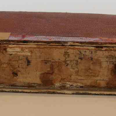Spine