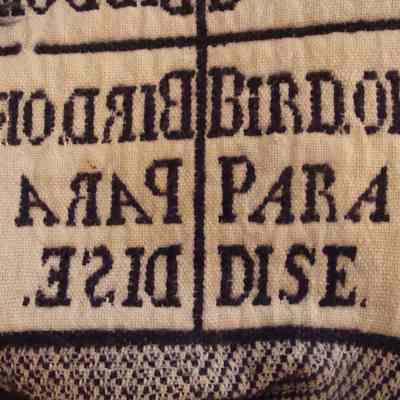Bird of Paradise Coverlet