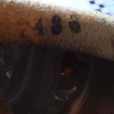 Glove