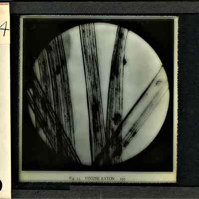 Glass-plate negative slide