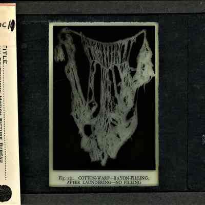 Glass-plate negative slide