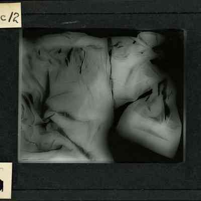 Glass-plate negative slide