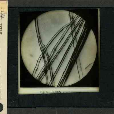 Origformat: Print-Photographic