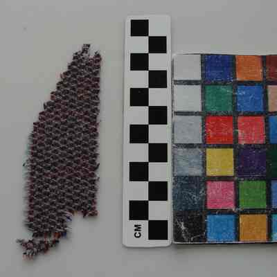 Fabric samples