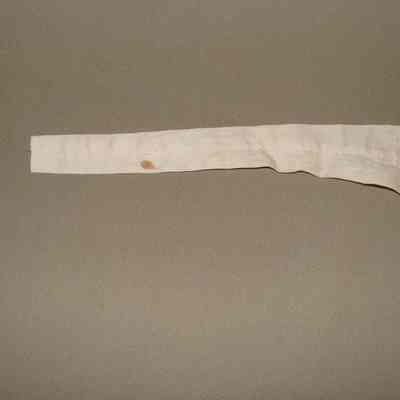 2001.21.03  a,b strap view