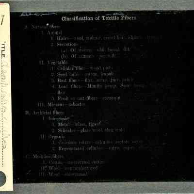 Glass-plate negative slide