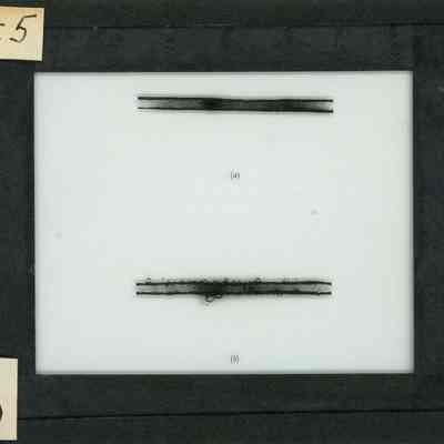 Origformat: Print-Photographic