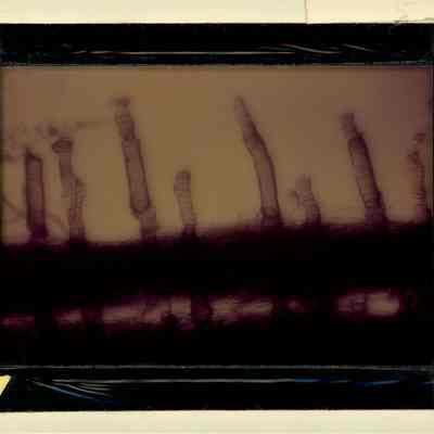 Glass-plate negative slide