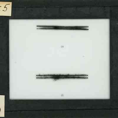 Glass-plate negative slide