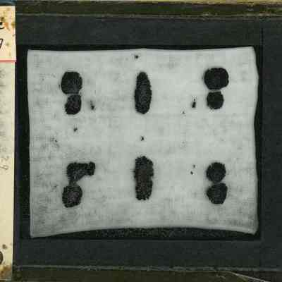 Origformat: Print-Photographic