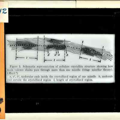 Glass-plate negative slide