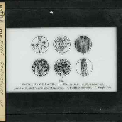 Origformat: Print-Photographic
