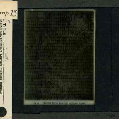 Glass-plate negative slide