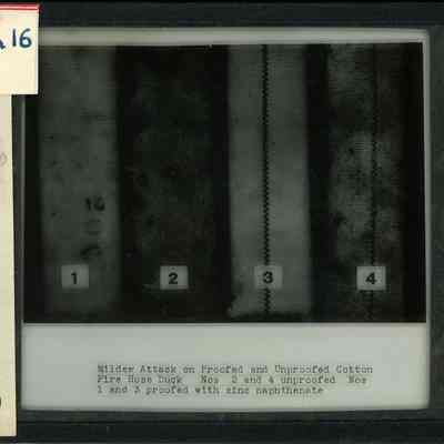 Glass-plate negative slide