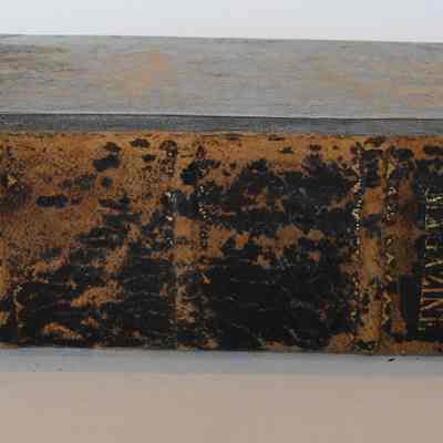 Peterson`s Magazine 1861 Spine