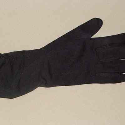 2008.26.29 a,b glove view