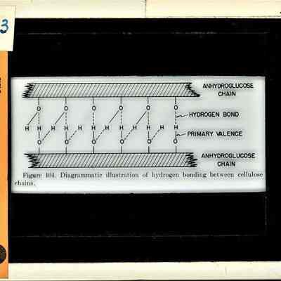 Origformat: Print-Photographic