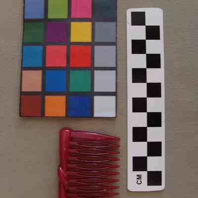 Comb