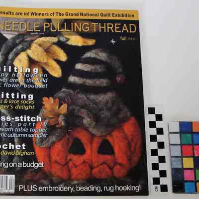 A Needle Pulling Thread Fall 2008 Cover