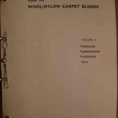 Dyes for wool/nylon carpet blends : Vol II.