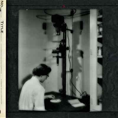 Glass-plate negative slide