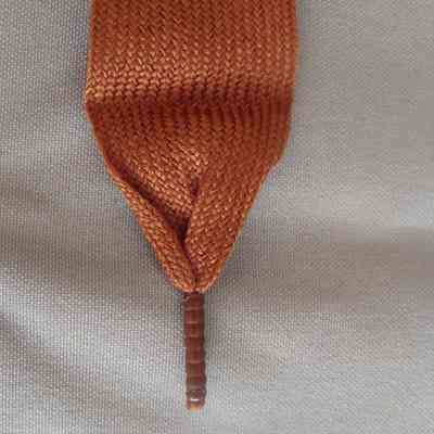 Shoelace