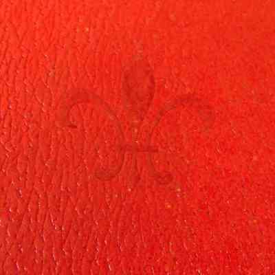 Rosamond Family Photo Album