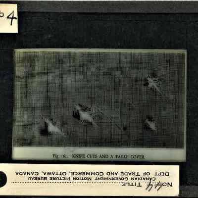 Origformat: Print-Photographic