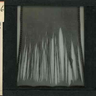 Glass-plate negative slide