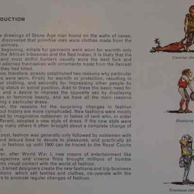 Fashion through the ages / Text and illustrations by Dennis Knight.