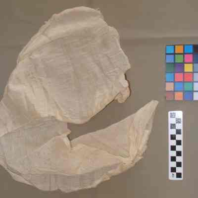 Silk fragment