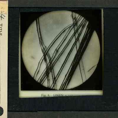 Glass-plate negative slide