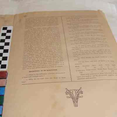 Instruction Sheet