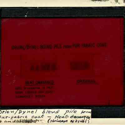 Glass-plate negative slide