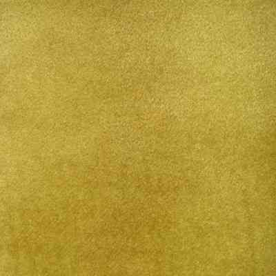 Cloth